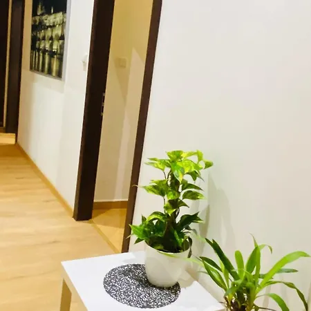 Emperor In Centre * Praga