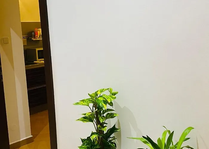 Apartament Emperor In Centre